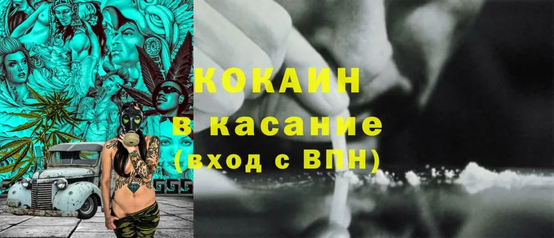 магазин    Котовск  COCAIN Fish Scale 